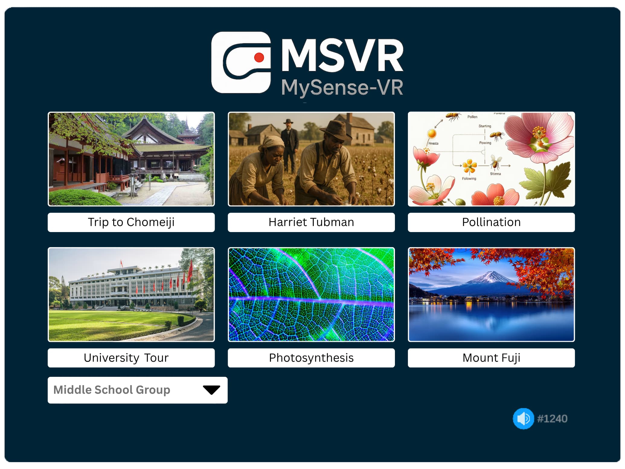 Immersive learning environment