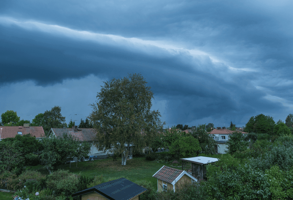 Weather Pattern Prediction immersive learning experience thumbnail