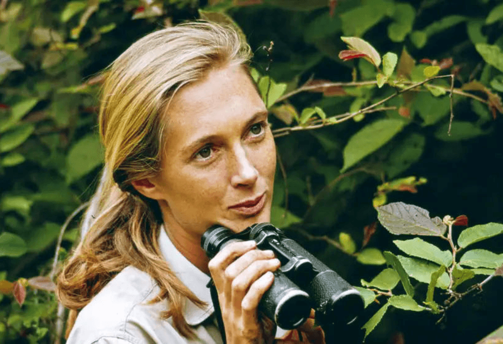 Jane Goodall immersive learning experience thumbnail