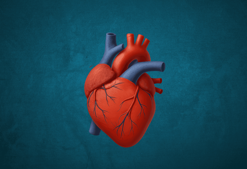 Human heart immersive learning experience thumbnail